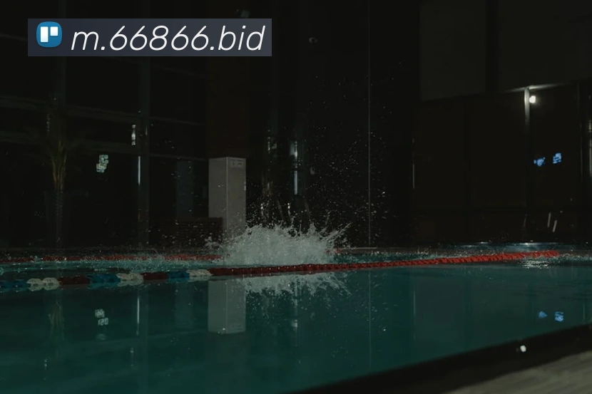 6686品牌故事